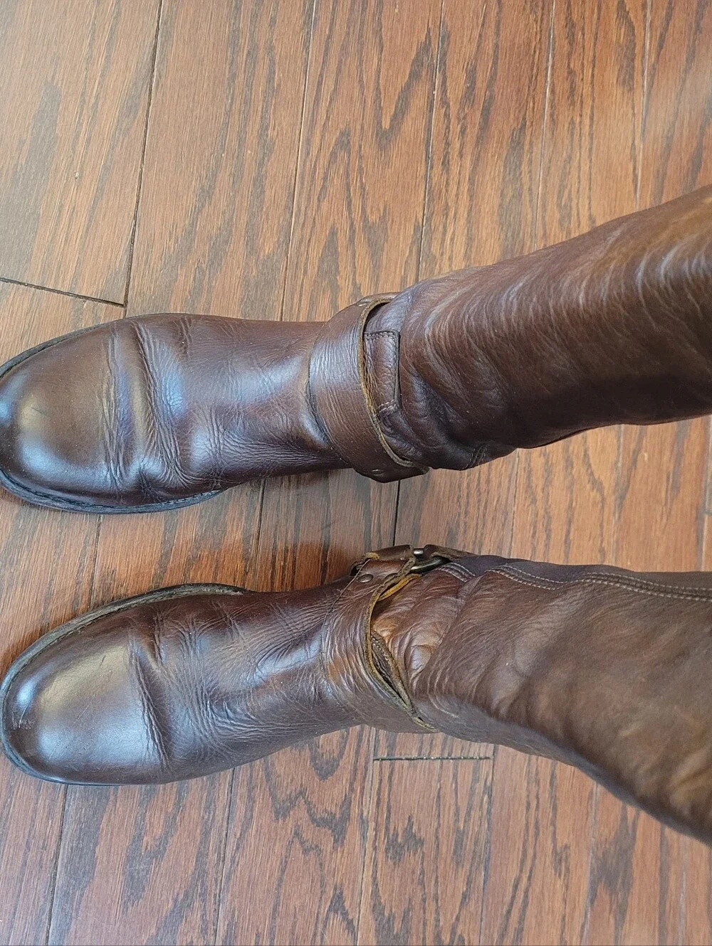 Frye Phillip Harmess Women’s Tall Brown Leather Riding Boots. Size 8B